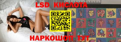 ПСИЛОЦИБИНОВЫЕ ГРИБЫ Заводоуковск