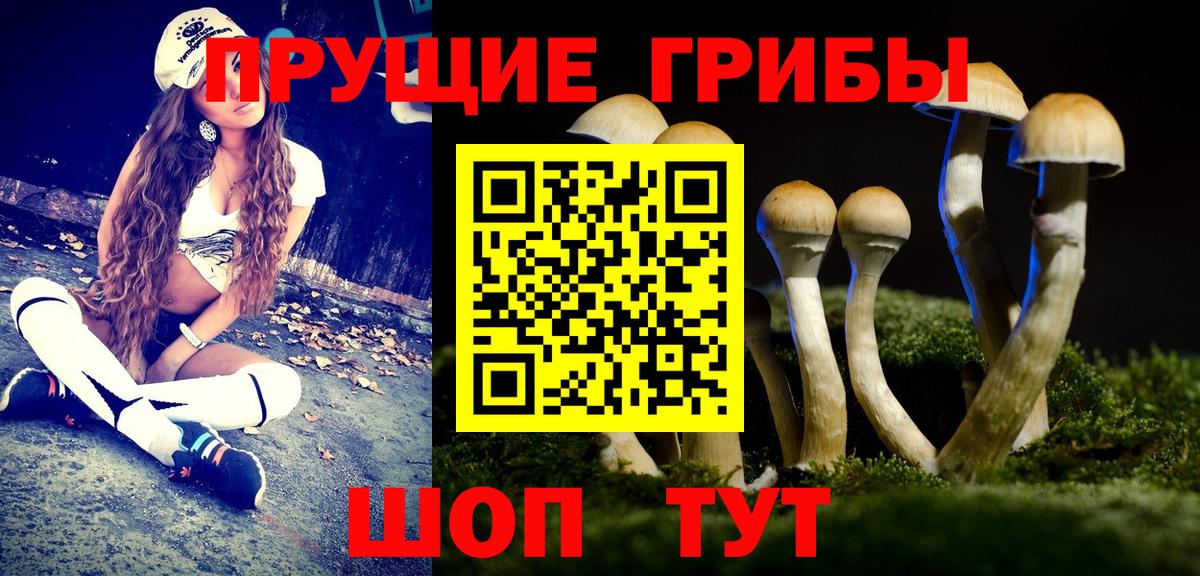 Галлюциногенные грибы мицелий  Вход с VPN  Полевской 