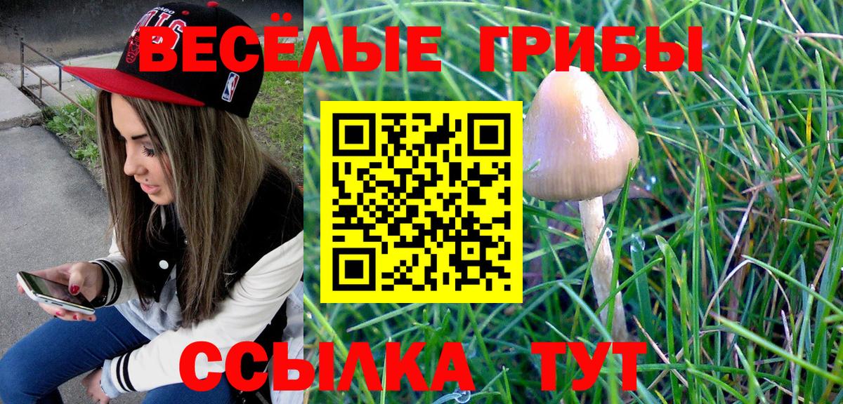 Галлюциногенные грибы MAGIC MUSHROOMS Полевской